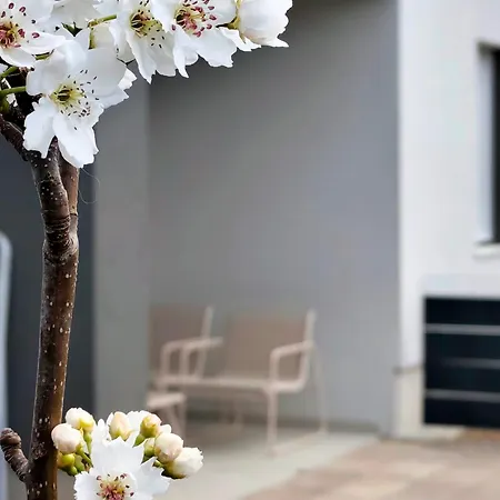 Nashi Garden Split With View & Parking Apartment