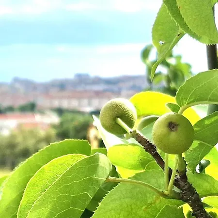 Appartamento Nashi Garden Split With View & Parking