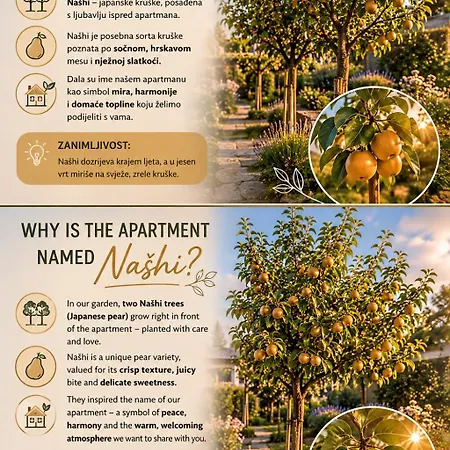 Nashi Garden Split With View & Parking